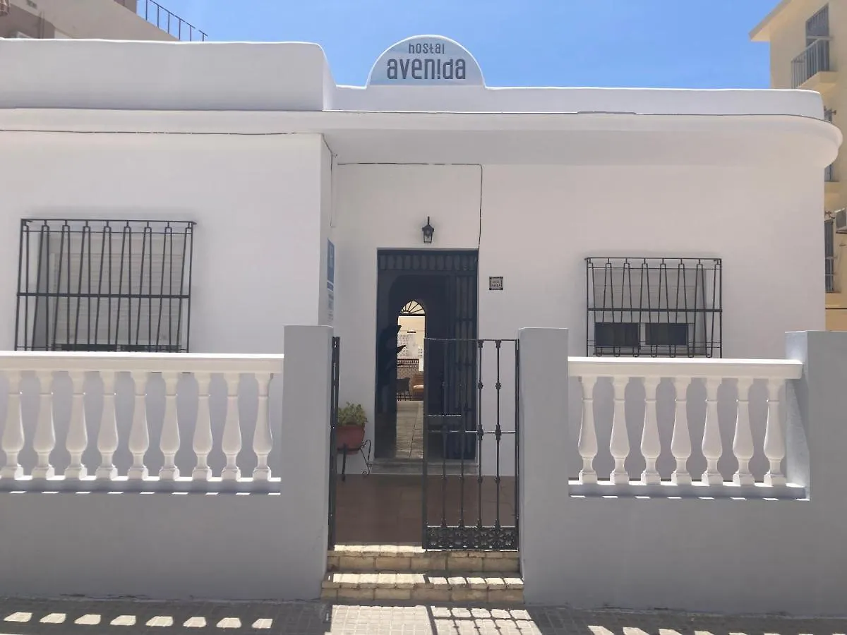 Hostal Avenida By Bossh! Hotels contacts
